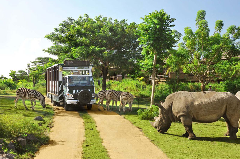 Taman Safari